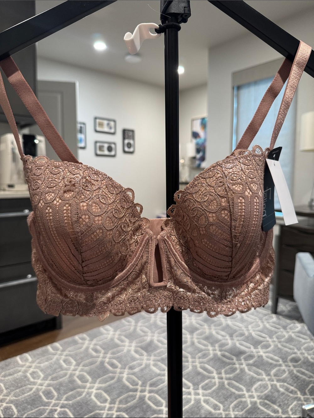 Paramour / Felina Siren Lace Demi Underwire Bra in Dusty Rose Blush